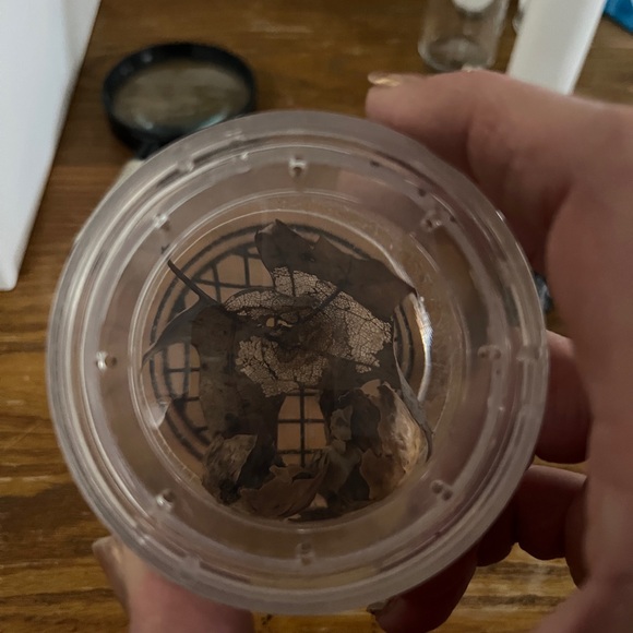 Science Experiment Kit with Tools and Container - Picture 7 of 9